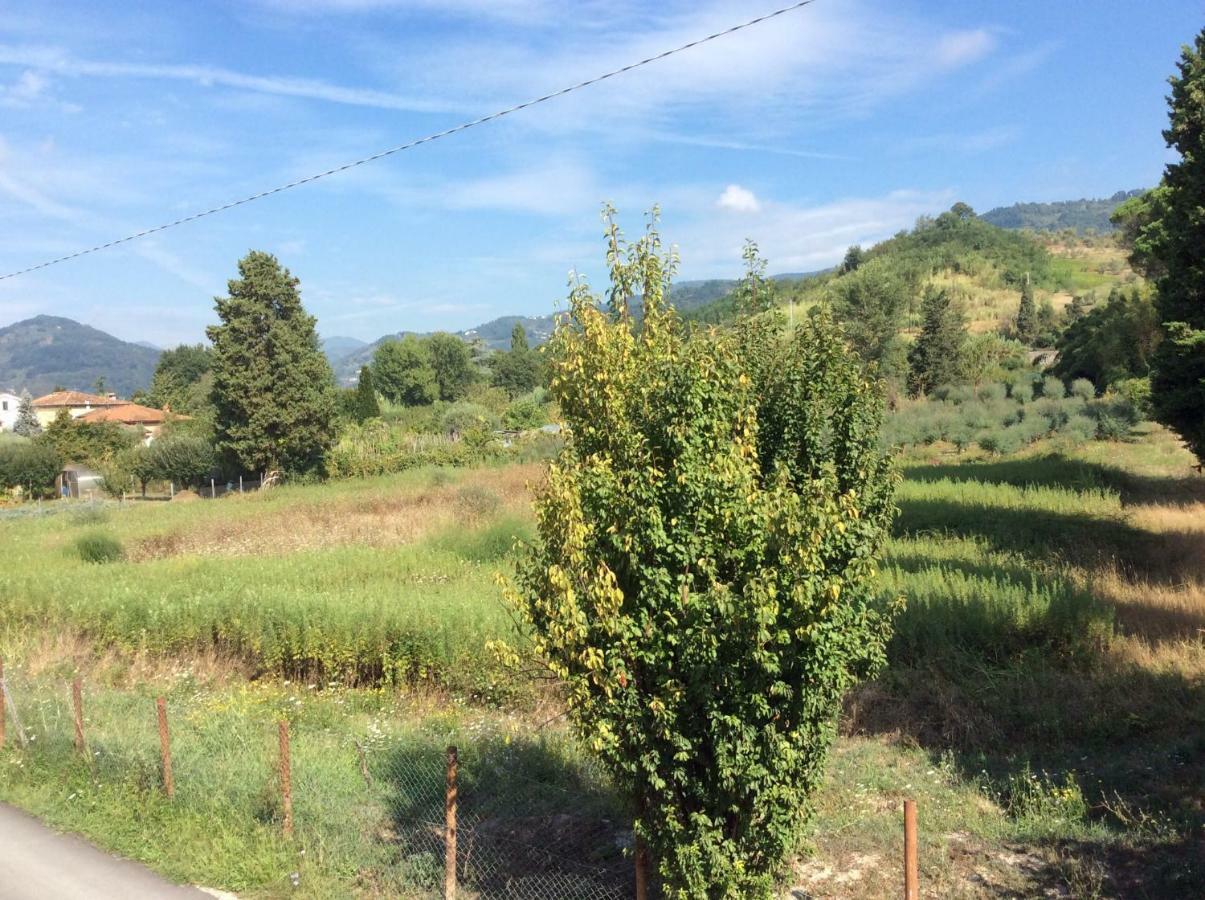 Casamariu Holiday home *